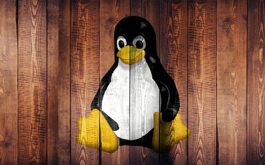 Linux OS – The Good Alternative
