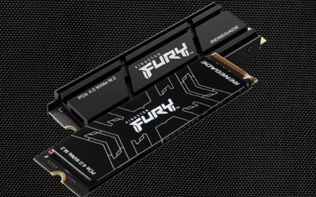 Kingston FURY Renegade 1TB Internal Gaming  SSD