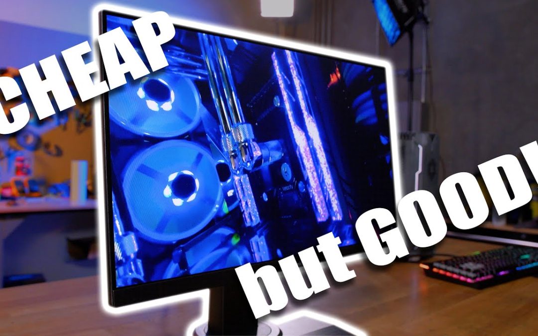 Cheap monitors suck right? WRONG!