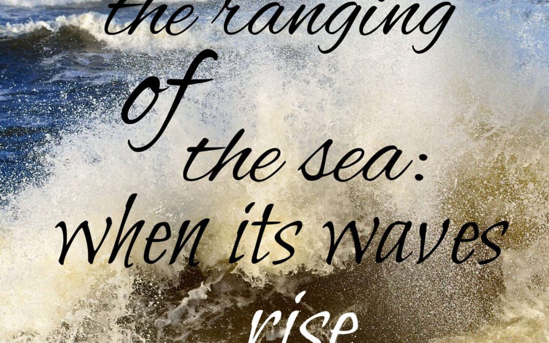 When the Waves Rise.