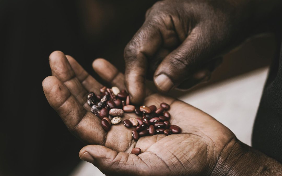 Kenya’s Economic Ascent: Navigating Challenges on the Path to Prosperity